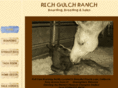 richgulchranch.net