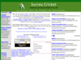 surreycricket.co.uk