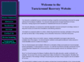 turnaroundrecovery.com