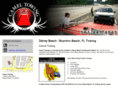 cameltowingpalmbeach.com