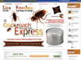 cockroachexpress.com