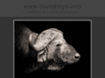 contemporary-wildlife-photography.com
