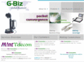 mintconnexions.com