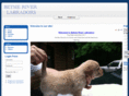 betsieriverlabs.com