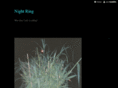 callnightring.com