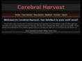 cerebralharvest.com