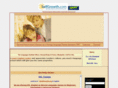 frenchin.org
