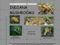 indianamushrooms.com