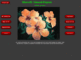 marcellesimarddupuis.com