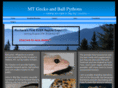 mtgecko.com