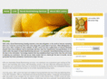 seolemon.com
