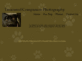 treasuredcompanion.com