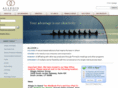 allegisag.com
