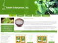 bestfijikava.com