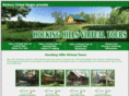 hockinghillscabinsvirtualtours.com