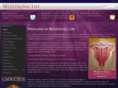 metatronic-life.com