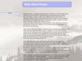 wildwindpower.com