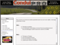 conduipro-rivesud.com