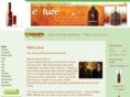 exfuzeforhealthandwellness.com