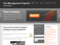 themanagementexpert.com
