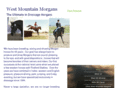 westmountainmorgans.com