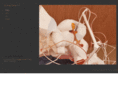 audreygoldstein.com