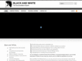 bwtechwriting.com