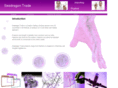 seadragon-trade.com