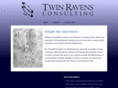 twinravensconsulting.com