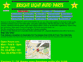 brightlightautoparts.com