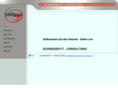 schneiderit-consulting.com