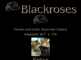 blackrose-cattery.com