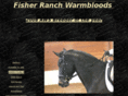 fisherranchwarmbloodsandsporthorses.com