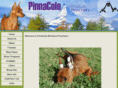 pinnacoleminpins.com