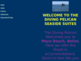 thedivingpelican.com