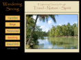 wanderingseeing.net