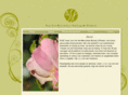 bsenf.com