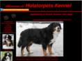 hulatorpetskennel.se