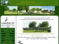 lakeforkgolfcourse.com
