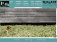 purtsi.com