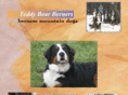 teddybearberners.com