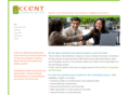 accentoncom.com