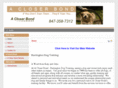 barringtondogtraining.com