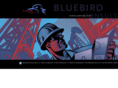 bluebird-consultant.com