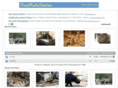 freephotostation.com