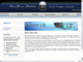 bluestormstudios.com