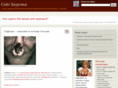 kashevar.com