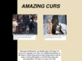 amazingcurs.com