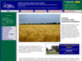 bethany-mo-real-estate.com
