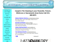 carpetcleaningsteam.com